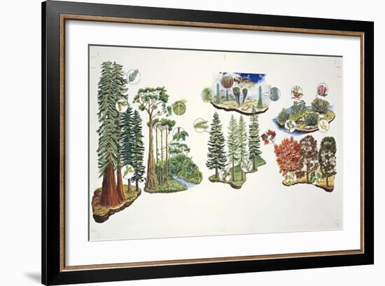 Natural Environments-null-Framed Giclee Print