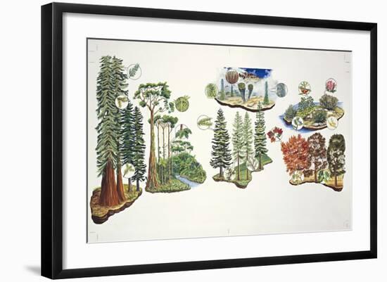 Natural Environments-null-Framed Giclee Print