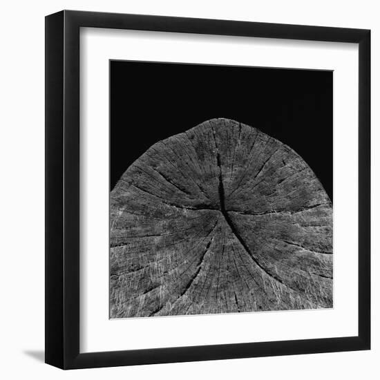 Natural Fragment-Chris Simpson-Framed Giclee Print