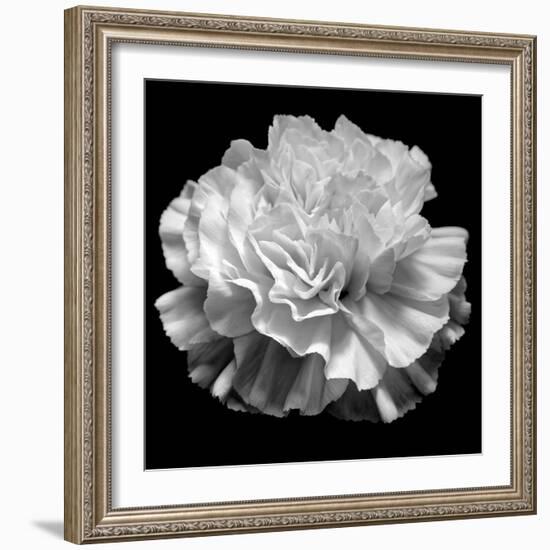 natural geometry II photography-Alex Caminker-Framed Photographic Print