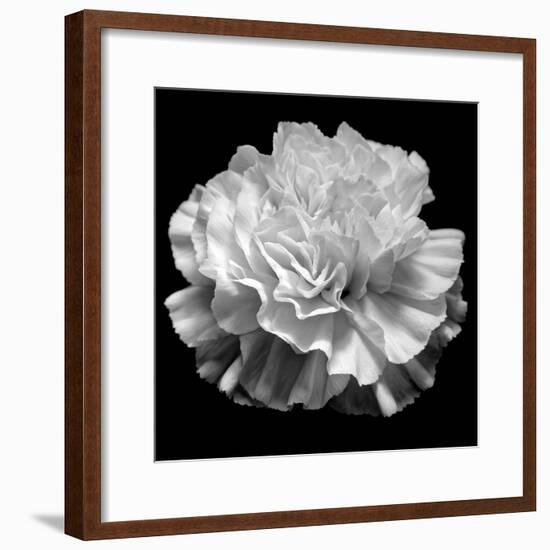 natural geometry II photography-Alex Caminker-Framed Photographic Print