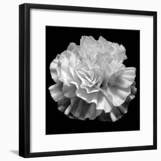 natural geometry II photography-Alex Caminker-Framed Photographic Print