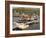 Natural Harbour, Dingle,Dingle Peninsula, County Kerry, Munster, Republic of Ireland-Pearl Bucknall-Framed Photographic Print