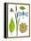 Natural History by the Pond-Blenda Tyvoll-Framed Stretched Canvas