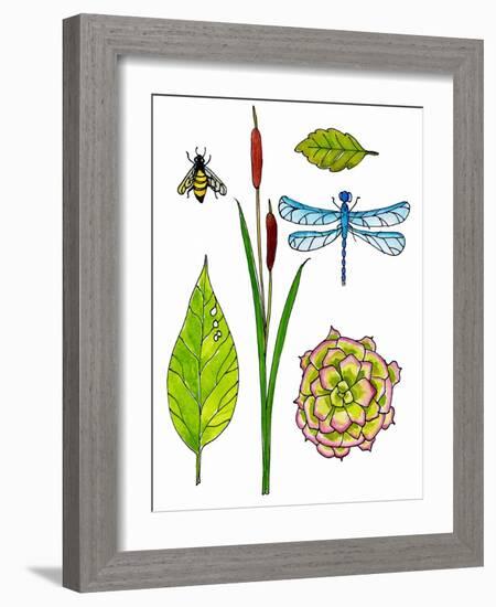 Natural History by the Pond-Blenda Tyvoll-Framed Art Print