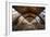 Natural History Museum I-Giuseppe Torre-Framed Photographic Print