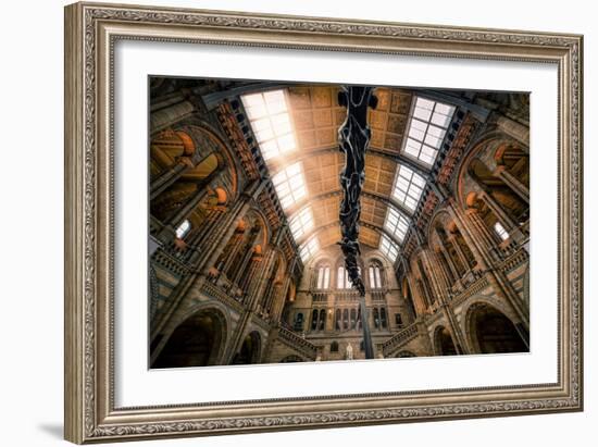 Natural History Museum II-Giuseppe Torre-Framed Photographic Print