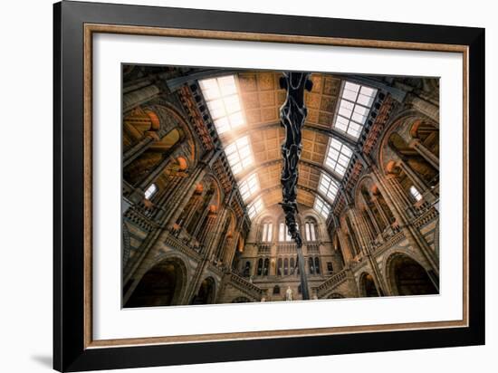 Natural History Museum II-Giuseppe Torre-Framed Photographic Print