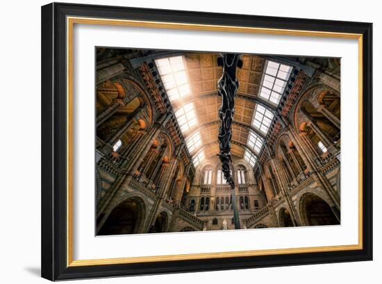 Natural History Museum II-Giuseppe Torre-Framed Photographic Print