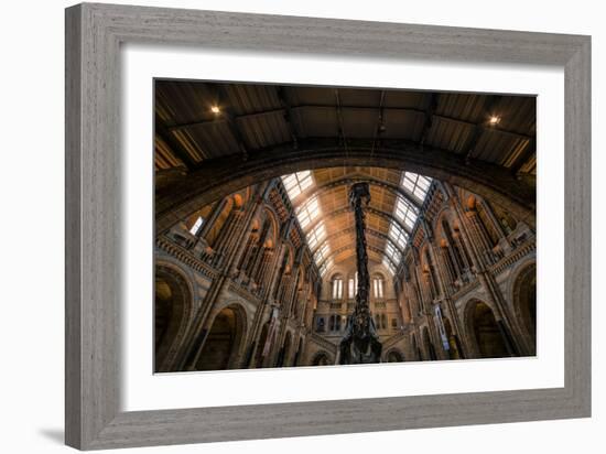 Natural History Museum III-Giuseppe Torre-Framed Photographic Print