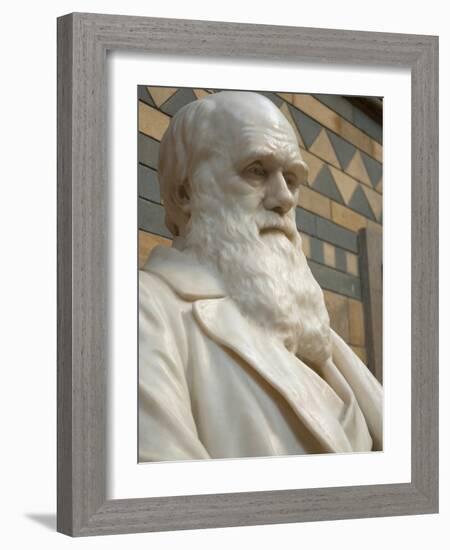 Natural History Museum, London, United Kingdom, England-Inger Hogstrom-Framed Photographic Print