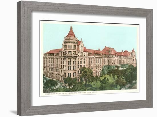 Natural History Museum, New York City-null-Framed Art Print