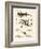 Natural History of Sea Salamander-null-Framed Giclee Print