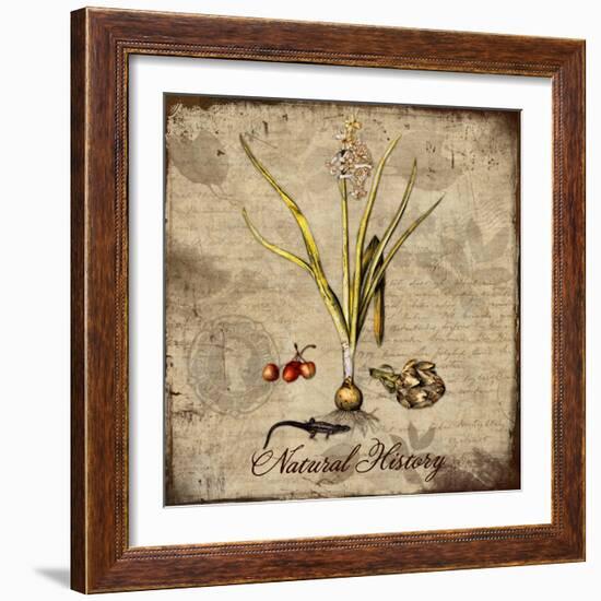 Natural History-Tina Lavoie-Framed Giclee Print