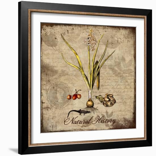 Natural History-Tina Lavoie-Framed Giclee Print