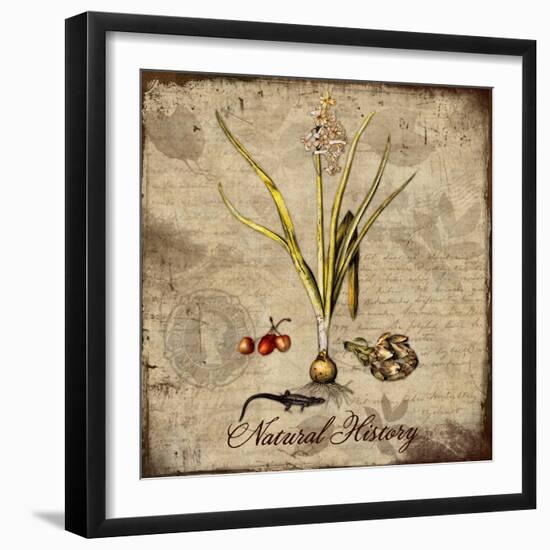 Natural History-Tina Lavoie-Framed Giclee Print