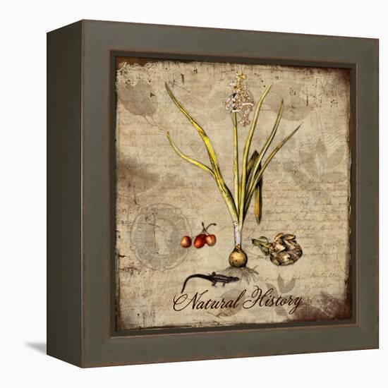 Natural History-Tina Lavoie-Framed Premier Image Canvas