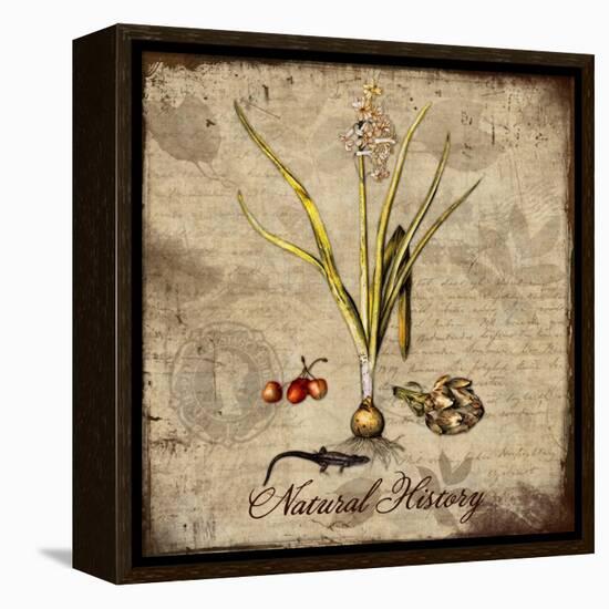 Natural History-Tina Lavoie-Framed Premier Image Canvas