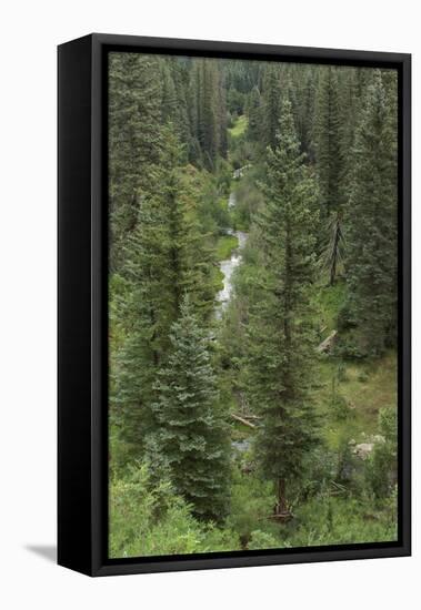 Natural Hot Spring Flowing Down a Rocky Slope High in the Jemez Mountains-null-Framed Premier Image Canvas