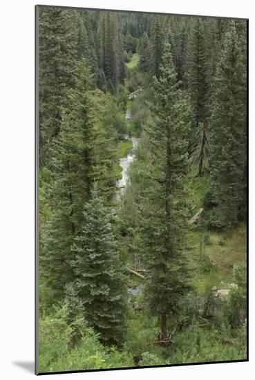 Natural Hot Spring Flowing Down a Rocky Slope High in the Jemez Mountains-null-Mounted Photographic Print