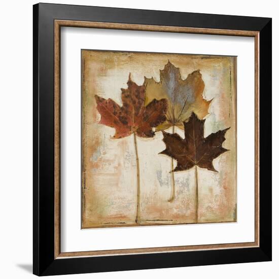 Natural Leaves III-Patricia Pinto-Framed Art Print