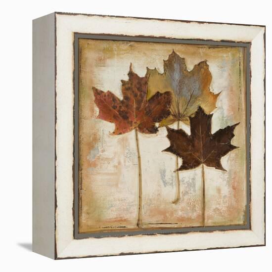 Natural Leaves III-Patricia Pinto-Framed Stretched Canvas