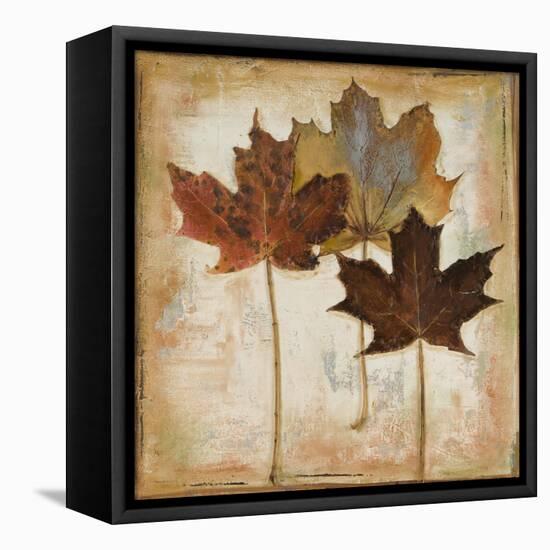 Natural Leaves III-Patricia Pinto-Framed Stretched Canvas