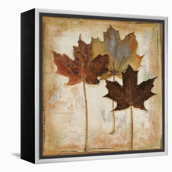 Natural Leaves III-Patricia Pinto-Framed Stretched Canvas