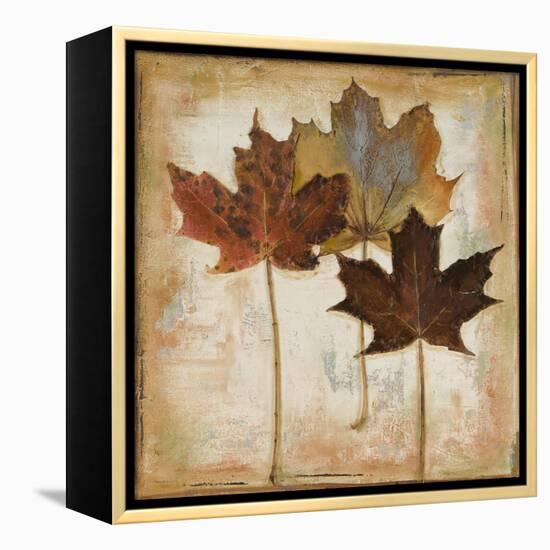 Natural Leaves III-Patricia Pinto-Framed Stretched Canvas