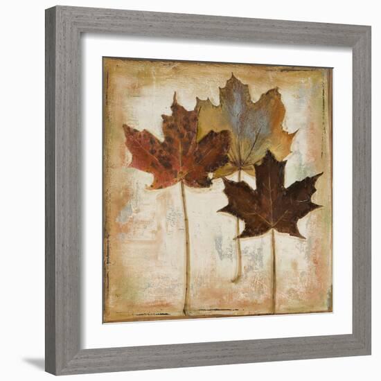 Natural Leaves III-Patricia Pinto-Framed Art Print