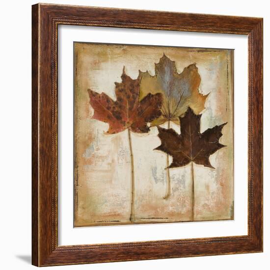 Natural Leaves III-Patricia Pinto-Framed Art Print