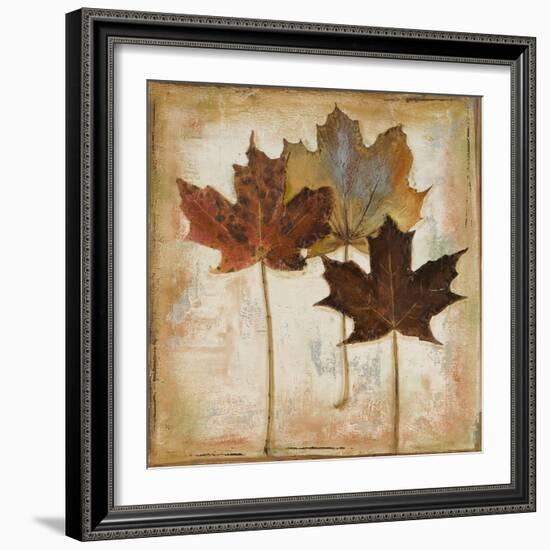 Natural Leaves III-Patricia Pinto-Framed Art Print