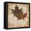 Natural Leaves IV-Patricia Pinto-Framed Stretched Canvas