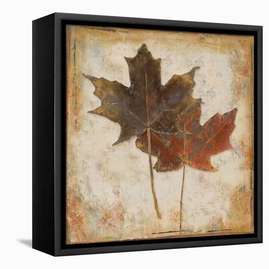 Natural Leaves IV-Patricia Pinto-Framed Stretched Canvas