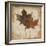 Natural Leaves IV-Patricia Pinto-Framed Premium Giclee Print