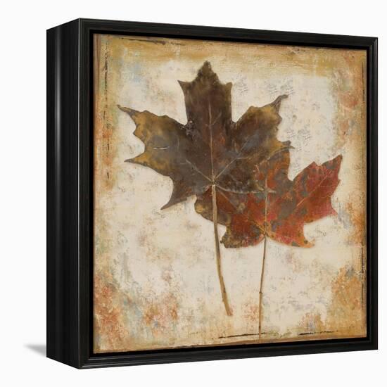 Natural Leaves IV-Patricia Pinto-Framed Stretched Canvas