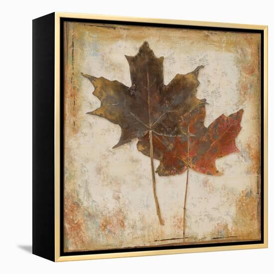 Natural Leaves IV-Patricia Pinto-Framed Stretched Canvas