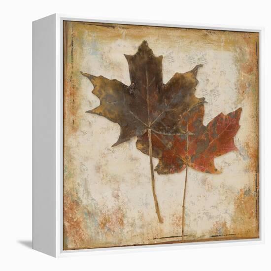 Natural Leaves IV-Patricia Pinto-Framed Stretched Canvas