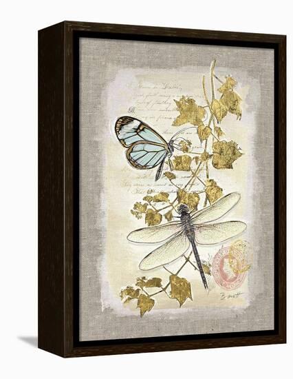 Natural Life, Dragonfly-Chad Barrett-Framed Stretched Canvas