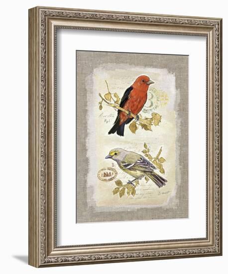 Natural Life, Feathered Friends-Chad Barrett-Framed Art Print