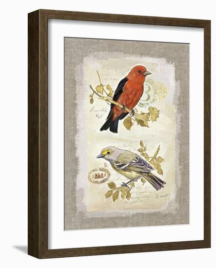 Natural Life, Feathered Friends-Chad Barrett-Framed Art Print