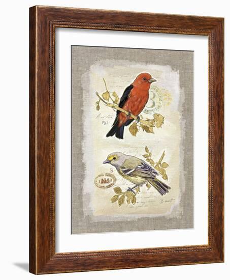 Natural Life, Feathered Friends-Chad Barrett-Framed Art Print