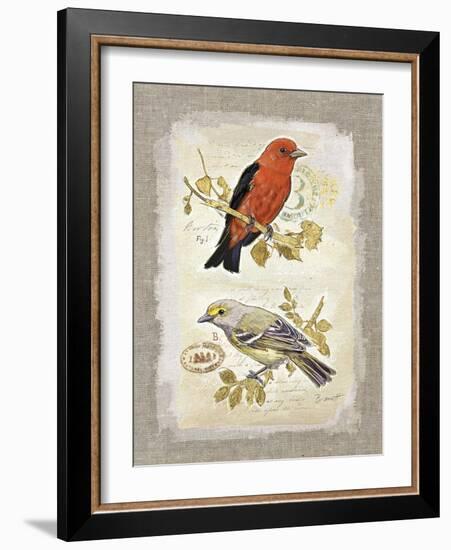 Natural Life, Feathered Friends-Chad Barrett-Framed Art Print