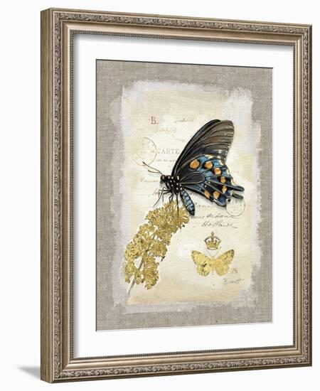 Natural Life, Rare Butterfly-Chad Barrett-Framed Art Print