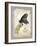 Natural Life, Rare Butterfly-Chad Barrett-Framed Art Print