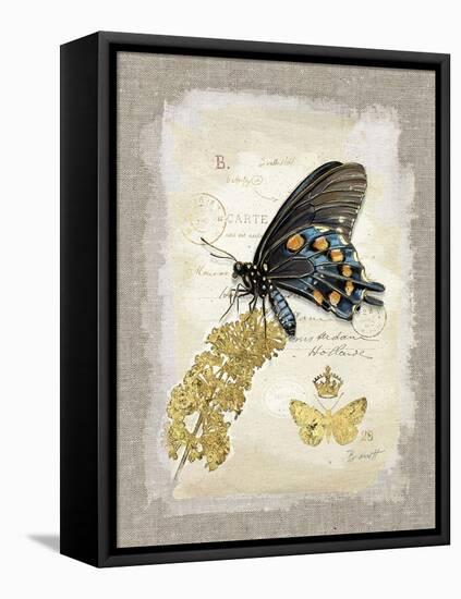 Natural Life, Rare Butterfly-Chad Barrett-Framed Stretched Canvas