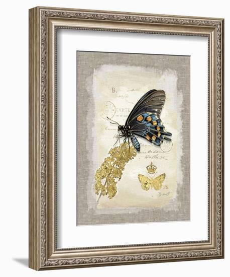 Natural Life, Rare Butterfly-Chad Barrett-Framed Art Print