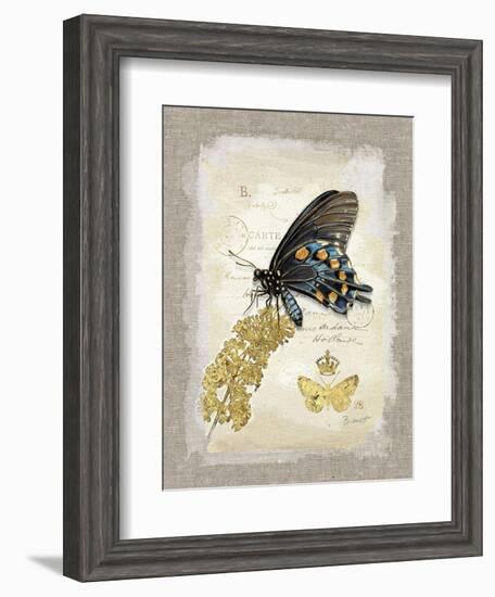 Natural Life, Rare Butterfly-Chad Barrett-Framed Art Print