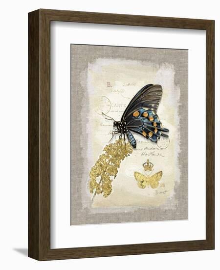 Natural Life, Rare Butterfly-Chad Barrett-Framed Art Print