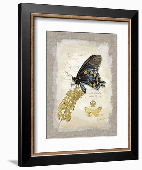 Natural Life, Rare Butterfly-Chad Barrett-Framed Art Print